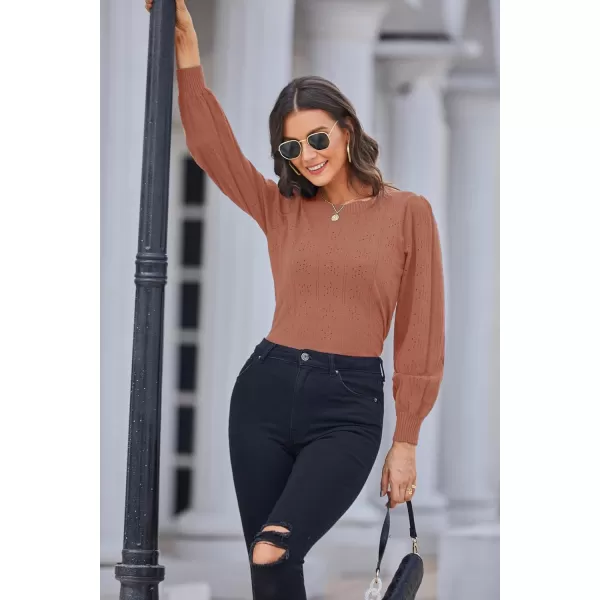 GRACE KARIN Womens Lightweight Thin Summer Pullover Sweater Cute Puff Short Sleeve Tops Pullover Shirt Knit BlouseCl0834 Red Brown Long Sleeve