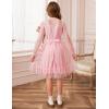 imageGRACE KARIN Girls Contrast Mesh Dress Party Birthday Formal Kids Long Sleeve ALine Tulle Dresses for 612 YearsPink