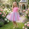 image:imageGRACE KARIN Flower Girl Dress with Big BowKids Lace Tulle Princess GownWedding Formal Birthday Party Pageant 510YRainbow Pink