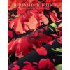 image:imageGRACE KARIN 2026 Womens Hawaiian Midi Sundress Summer Vacation Spaghetti Floral Clothes Boho Casual Dresses with PocketsRed Black Floral
