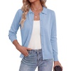 Pale Blue