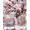 image:imageGRACE KARIN Womens Boho Floral Tops 2026 Fall Button Down Long Sleeve Blouses Dressy Casual V Neck Work Trendy ShirtsApricot Floral