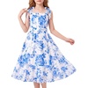 Blue Willow