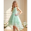 image:imageGRACE KARIN Flower Girl Dress Kids Wedding Guest Birthday Party Formal Lace Tulle Princess High Low Dresses 510YLight Green