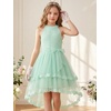 image:imageGRACE KARIN Flower Girl Dress Kids Wedding Guest Birthday Party Formal Lace Tulle Princess High Low Dresses 510YLight Green