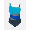 imageCUPSHE Womens Plus Size Swimsuit One Piece Bathing Suit Mesh Removable Straps SwimwearCyanBlackBlue