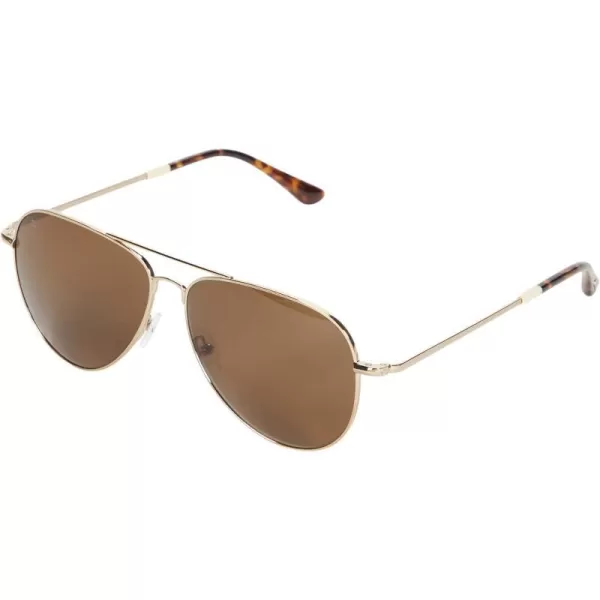 TOMS Hudson Pilot SunglassesShiny GoldSolid Brown Polarized