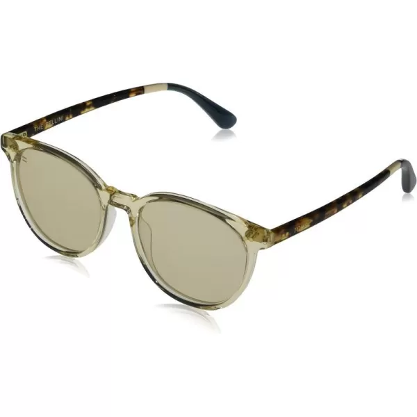 TOMS Bellini Round SunglassesChampagne CrystalCocoa TortChampagne Photochromic