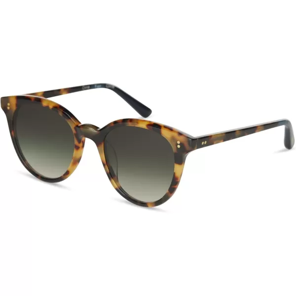 TOMS Womens Aaryn Round SunglassesBlonde Tortoiseshell