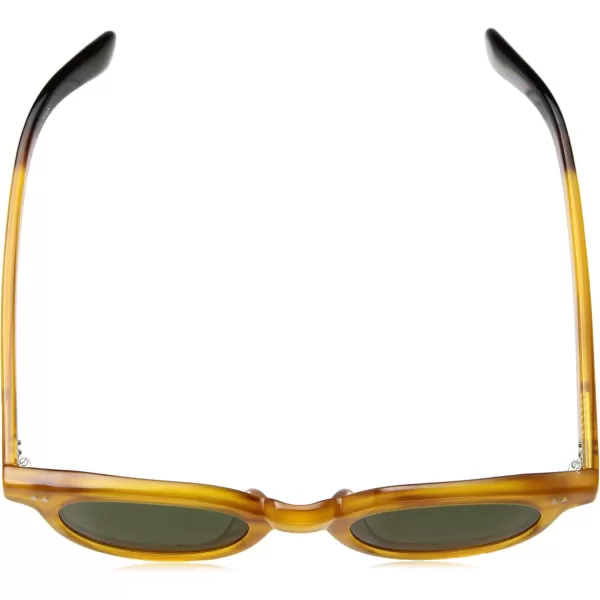 TOMS Womens Fin Round SunglassesTOMS Womens Fin Round Sunglasses