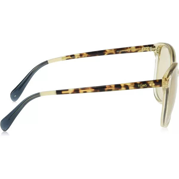 TOMS Womens Sandela Oversized SunglassesChampagne CrystalCocoa TortChampagne Photochromic