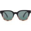 imageTOMS Round SunglassesMatte Black Honey Tortoise Fade