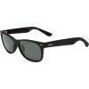 imageTOMS Beachmaster Wayfarer Sunglasses