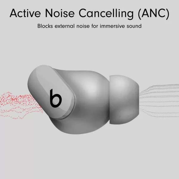 imageBeats Studio Buds  True Wireless Noise CancellingnbspEarbudsnbsp Compatible with Apple amp Android Builtin Microphone IPX4 Rating Sweat Resistant Earphones Class 1 BluetoothnbspHeadphones  Moon GrayMoon Gray Studio Buds With AppleCare 2 Years