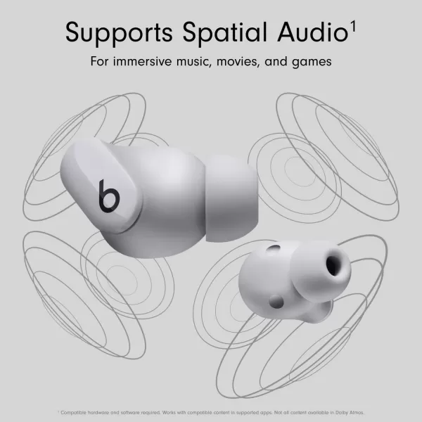 imageBeats Studio Buds  True Wireless Noise CancellingnbspEarbudsnbsp Compatible with Apple amp Android Builtin Microphone IPX4 Rating Sweat Resistant Earphones Class 1 BluetoothnbspHeadphones  Moon GrayMoon Gray Studio Buds With AppleCare 2 Years