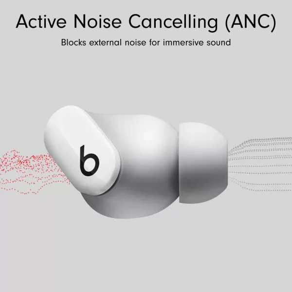 imageBeats Studio Buds  True Wireless Noise CancellingnbspEarbudsnbsp Compatible with Apple amp Android Builtin Microphone IPX4 Rating Sweat Resistant Earphones Class 1 BluetoothnbspHeadphones  Moon GrayWhite Studio Buds With AppleCare 2 Years