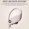 imageBeats Powerbeats Pro Wireless Earbuds  Apple H1 Headphone Chip Class 1 Bluetooth Headphones 9 Hours of Listening Time Sweat Resistant Builtin Microphone  BlackIvory