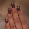 imageILNP Chocolate  Chocolate Brown Studio Color Nail Polish