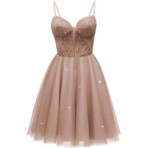 imageTulle Homecoming Dresses for Teens 2025 Prom Dresses Short Spaghetti Strap V Neck Beaded Formal Party GownsDusty Rose