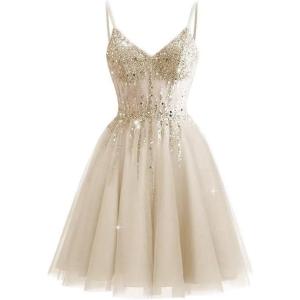 imageTulle Homecoming Dresses 2025 Prom Dresses Short Sparkly Beaded Formal Party GownsLight Champagne