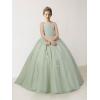 imageLace Applique Tulle Pageant Gowns for Girls Ball Gown Flower Girl Dress Princess Toddler Kids Prom DressPeacock