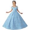 imageSequin Flower Girl Dresses for Wedding Off Shoulder Sparkly Pageant Dress for Girls Ball Gown Kids DressSky Blue
