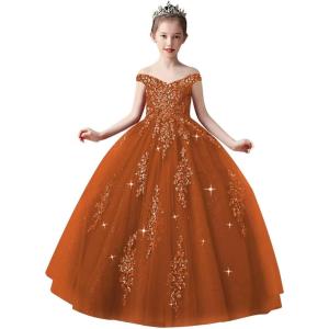 imageOff Shoulder Tulle Pageant Dress Lace Applique Flower Girl Dress Ball Gown Toddler Kids Birthday Party DressBurnt Orange