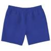 imageDXL Big  Tall Essentials Mens Big and Tall QuickDry Swim TrunksBlue