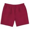 imageDXL Big  Tall Essentials Mens Big and Tall QuickDry Swim TrunksRed