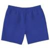 imageBig ampamp Tall Essentials QuickDry Swim Trunks Blue 2XL