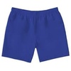 image:imageDXL Big  Tall Essentials Mens Big and Tall QuickDry Swim Trunks  Waists 4256 Sizes 1XL  7XLBlue