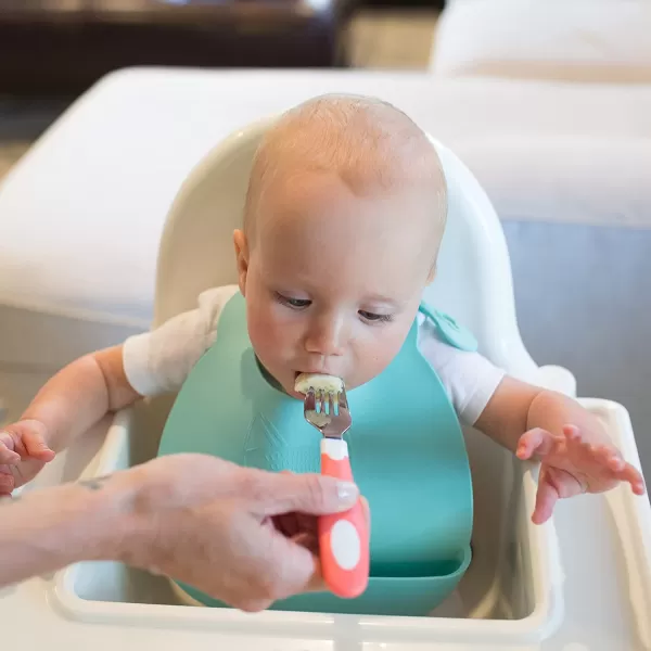 Dr. Brown's Designed to Nourish, Fresh Firsts Silicone Feeder, Pink, One Size