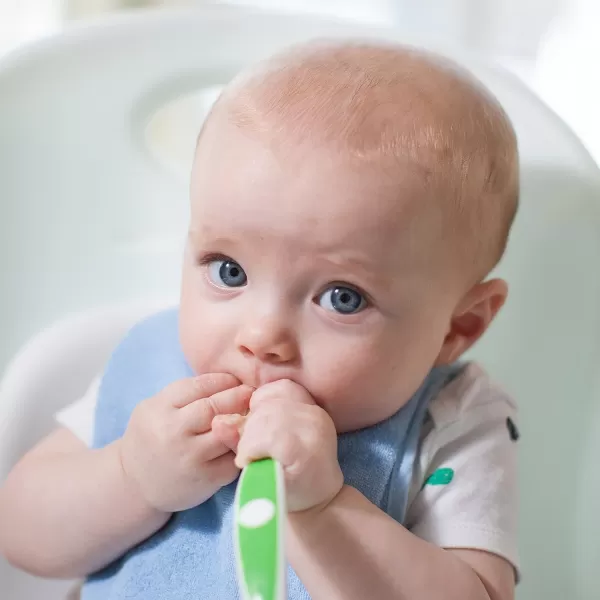 Dr. Brown's Soft-Tip Toddler Spoons with Long Handle for Baby-Led Weaning, BPA Free - 6-Pack