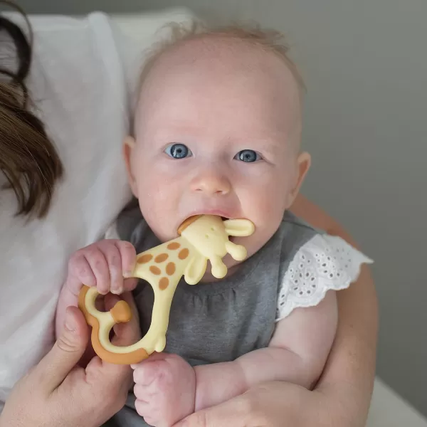 Dr. Brown's Flexees Friends Silicone Teether Purple Octopus Dr. Brown’s Flexees Beaded Teether Rings,100% Silicone,Soft &amp; Easy to Hold,Encourages Self-Soothe,3 Pack, Pink, White, BPA Free 3m+