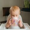 imageDr Browns Milestones Cheers 360 Cup Spoutless Transition Cup Travel Friendly ampamp LeakFree Sippy Cup Blue Alligator 10 oz300 mL7oz Cup with Handles  Pink Animals