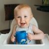 imageDr Browns Milestones Cheers 360 Cup Spoutless Transition Cup Travel Friendly ampamp LeakFree Sippy Cup Blue Alligator 10 oz300 mL7oz Cup with Handles  Blue Animals
