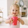 imageDr Browns Milestones Cheers 360 Cup Spoutless Transition Cup with Handles for Easy Grip ampamp LeakFree Learning Pink 7oz200mL 6m Colors May Vary1 Pack  7 oz  Pink with Handles