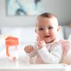 imageDr Browns Babys First Straw Cup Straw Replacement Kit with One Straw and One Cleaning Brush BPA Free
