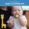 imageDr Browns InfanttoToddler Training Toothbrush Set Blue Elephant with FluorideFree Apple Pear Baby Toothpaste 03 years1 Pack  Giraffe