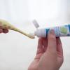 imageDr Browns InfanttoToddler Training Toothbrush Set Blue Elephant with FluorideFree Apple Pear Baby Toothpaste 03 years1 Pack  Giraffe