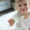 imageDr Browns InfanttoToddler Training Toothbrush Set Blue Elephant with FluorideFree Apple Pear Baby Toothpaste 03 years1 Pack  Mint Elephant