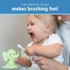 imageDr Browns InfanttoToddler Training Toothbrush Set Blue Elephant with FluorideFree Apple Pear Baby Toothpaste 03 years1 Pack  Mint Elephant