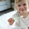 imageDr Browns InfanttoToddler Training Toothbrush Set Blue Elephant with FluorideFree Apple Pear Baby Toothpaste 03 yearsMint Elephant with Toothpaste