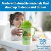 imageDr Browns Milestones Insulated Sippy Cup with Straw and Handles SpillProof Tumbler with Lid 2Pack Blue ampamp Green 10 oz300 mL BPA Free 12m2pack  Blue  Green