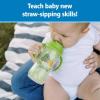 imageDr Browns Milestones Insulated Sippy Cup with Straw and Handles SpillProof Tumbler with Lid 2Pack Blue ampamp Green 10 oz300 mL BPA Free 12m2pack  Blue  Green
