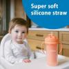 imageDr Browns Milestones Insulated Sippy Cup with Straw and Handles SpillProof Tumbler with Lid 2Pack Pink 10 oz300 mL BPA Free 12m2Pack  Pink