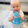 imageDr Browns Milestones WideNeck Sippy Straw Bottle with 100 Silicone Handles and Weighted Straw 9 oz270 mL Green 6mBlue