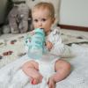 imageDr Browns Milestones WideNeck Sippy Straw Bottle with 100 Silicone Handles and Weighted Straw 9 oz270 mL Green 6mGray  Green