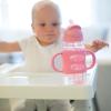 imageDr Browns Milestones WideNeck Sippy Straw Bottle with 100 Silicone Handles and Weighted Straw 9 oz270 mL Green 6mGray  Pink