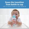 imageDr Browns AntiColic Options Narrow Sippy Bottle Starter Kit 8oz250mL with Level 3 MediumFast Flow Nipple and Soft 100 Silicone Sippy Spout Green BPA Free 6mBlue